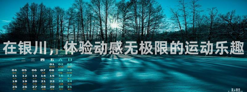 征途国际官方:在银川,体验动感无极限的运动乐趣