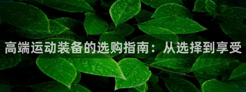 征途国际平台注册流程图:高端运动装备的选购指南:从选择到享受